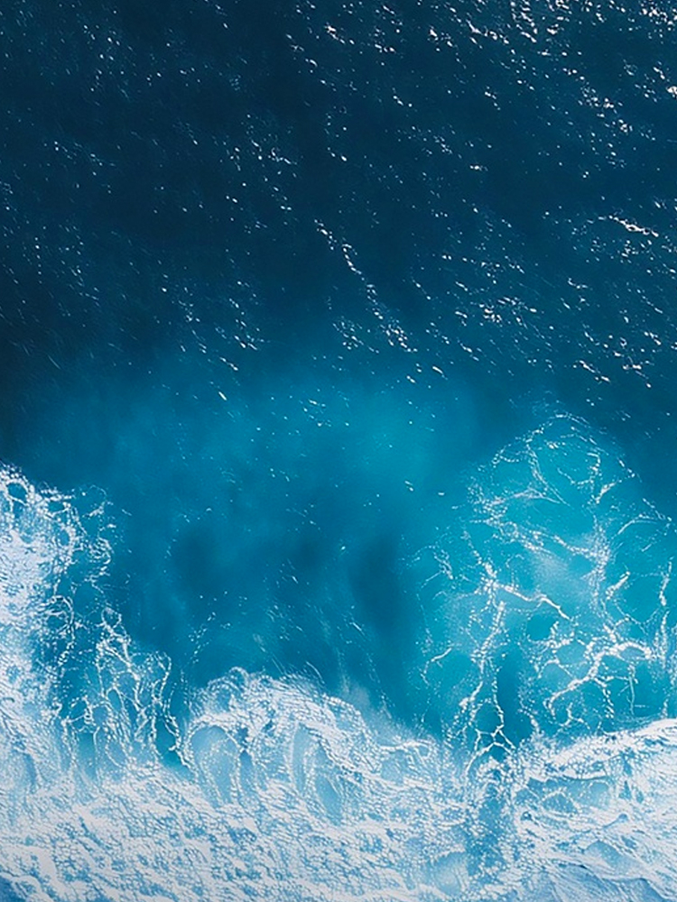海洋氣象產品
